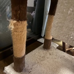 キャットタワーの画像