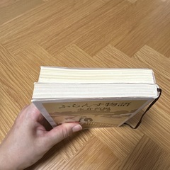 あめりか物語 ふらんす物語 永井荷風の画像