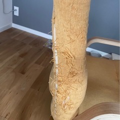 リクライニング チェアの画像