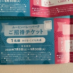 ムーミンバレーパーク 無料券の画像
