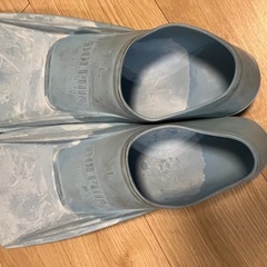 定番ドルフィンスイムフィンの画像