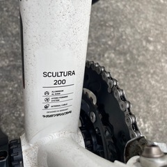 メリダ・スクルトゥーラ(SCULTURA）200の画像