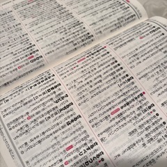 小学　国語辞典の画像