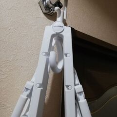 フランフラン　ハンガー　洗濯の画像