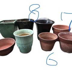植木鉢の画像