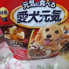 ペットシート。愛犬元気一袋未開封新品差し上げます❗！☺の画像