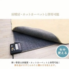 ピンク色のカーペット　②　の画像