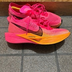 ヴェイパーフライ3の画像