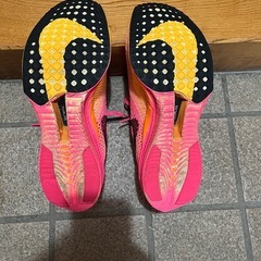 ヴェイパーフライ3の画像
