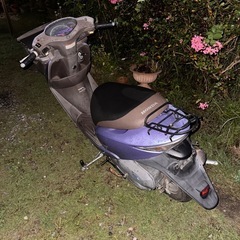 ホンダ　ディオチェスタの画像
