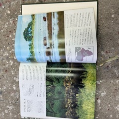 動物の大世界百科, 箱から出しただけ, ほぼ新品, アニマルライフ, 動物図鑑, オブジェ, 1巻の画像