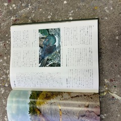 動物の大世界百科, 箱から出しただけ, ほぼ新品, アニマルライフ, 動物図鑑, オブジェ, 1巻の画像