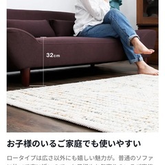 【LOWYA】ロータイプソファの画像