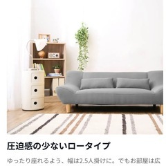 【LOWYA】ロータイプソファの画像
