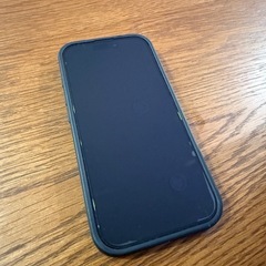 iphone16pro 256gbの画像