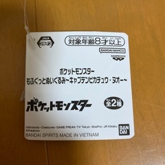 未使用品！！ポケモン、ヌオーのぬいぐるみの画像