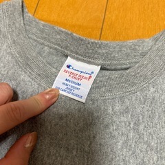 champion ワンピースの画像