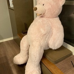 コストコの135cmピンクのクマの画像