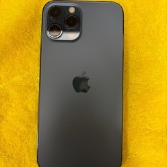 iPhone 12 Pro Max 512GB ブルー の画像