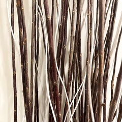 IKEA ドライブーケ　フラワーベース　枝　花瓶　インテリアの画像