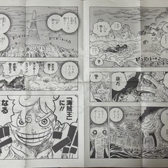 ONEPIECE ONLY展ポスター、冊子の画像