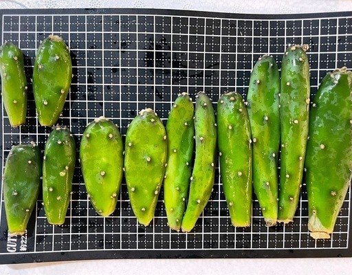 ぽちこげ様ブラック一枚 ふわふわのポーチさん 真っ黒ブラック | rabbica ONLINE STORE