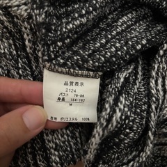 ロンT Mの画像
