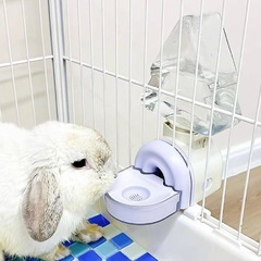 給水器 水飲み器 小動物 ペットの画像
