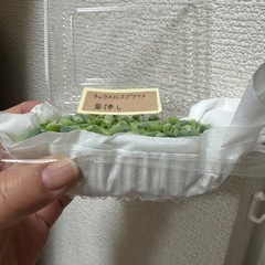 キャラメルスプライト葉挿しの画像