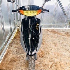 ⭐︎ライブディオZX仕様⭐︎バッテリー新品⭐︎リアタイヤ新品⭐︎埼玉県より配送可能⭐︎の画像