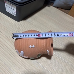 メダカさんやベタさん等々水槽に。の画像