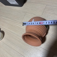 メダカさんやベタさん等々水槽に。の画像