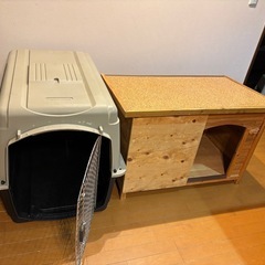 大型犬 ペットの画像