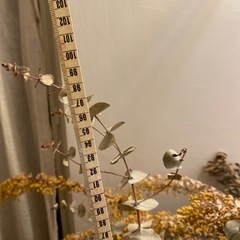 ミモザ・ユーカリ大型ドライフラワー&籠の画像