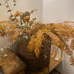 ミモザ・ユーカリ大型ドライフラワー&籠の画像