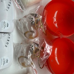 　ガチャ　
けだまだま　正規品の画像