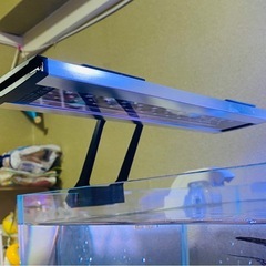 水槽LEDライトの画像