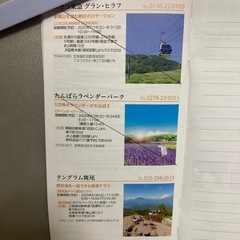 東急不動産株主優待ゴルフ場・スキー場(グリーンシーズン)割引券2枚
の画像