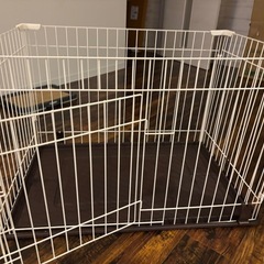 　　犬　
サークルの画像