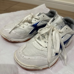 体育館シューズ　moonstar 美品の画像