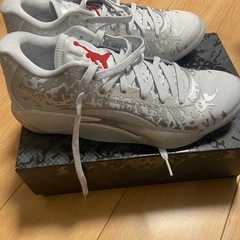 ☆本日可能な方のみ　未使用　バッシュ　ジョーダンの画像