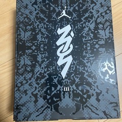 ☆本日可能な方のみ　未使用　バッシュ　ジョーダンの画像