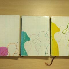 『人間の壁（全３巻）』石川達三　新潮文庫の画像