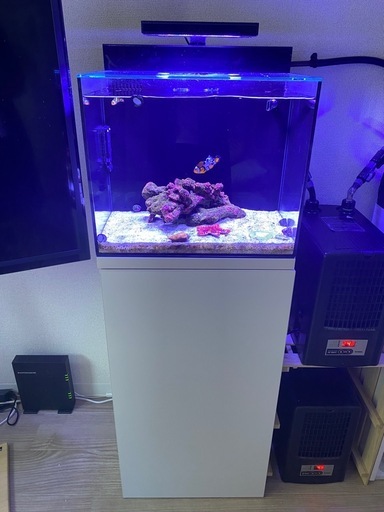 シェル2フルセット