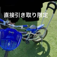 ブリヂストン クロスファイヤーキッズ BRIDGESTONE 子供用自転車の画像