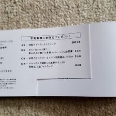 [乃木坂46 五百城茉央]未来の作り方の画像