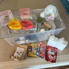 お話中。
ハムスター飼育セットで！今から飼おうと思ってる方、すぐ飼えます(^^)の画像