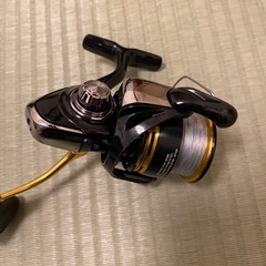 23レガリスの画像