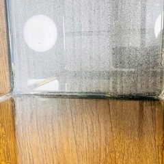 水槽の画像