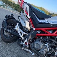 ベネリ125TFT売ります。
の画像